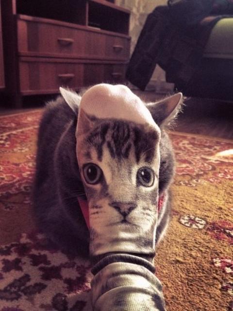 cat face sock